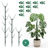 Yeomant 6 Pack Stackable Monstera Plant Support Stakes, Plant Stakes