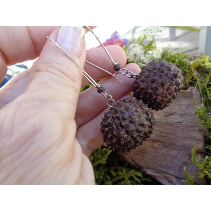 ⊱✿ EXOTISCHE BAUMNUSS OHRRINGE IN DUNKELBRAUN✿⊰⊹ lange Kidney - Haken