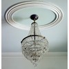 ROJOSER Heavy Duty Canopy Kit and 3.2 feet Pendant Light