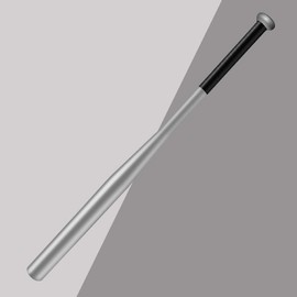 Tuggui Baseball Bat Steel with Carrying Bag (21 in, Silver)