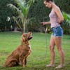 LOS ANDES Dog Slip Collar Choke Collar for Dog Training