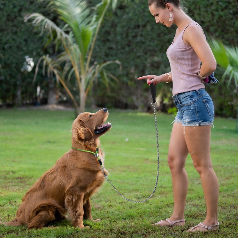 LOS ANDES Dog Slip Collar Choke Collar for Dog Training
