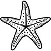 'Dotted Starfish' Rubber Stamp - Unmounted Design for Crafting &