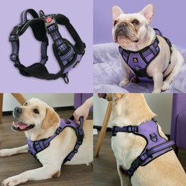 BELLA & PAL Dog Harness for Medium Dogs No Pull, No Choke Front Clip Pet Vest with Easy Control Soft Padded Handle, Adjustable Heavy Duty Reflective Dog Body Harness for Medium (Deep Purple, S)