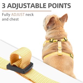 PUPTECK Small Dog Harness and Leash Set, No Pull Adjustable Puppy Cat Harness, Reflective Soft Mesh Pet Vest Small Sized