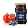Green Jay Gourmet Blueberry Salsa - Blueberry Flavored Fruit Salsa