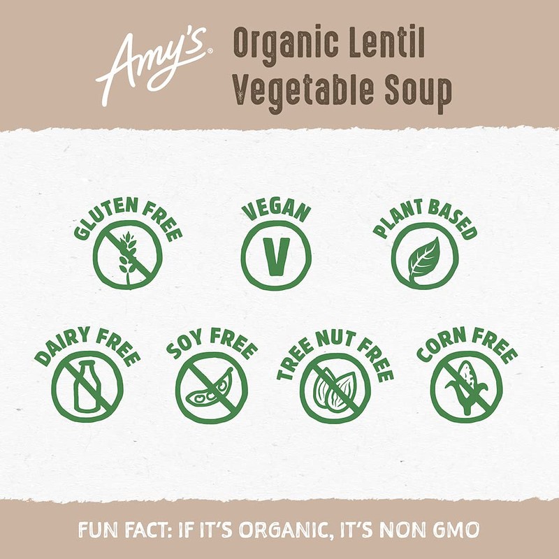Amy's Organic Lentil Vegetable Soup, 14.5 OZ