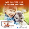 Alfavet RodiCare Dia, Supplementary Feed for Dwarf Rabbits and Guinea