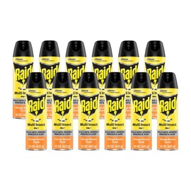 Raid Multi Insect Killer, Orange Breeze 15 Ounce (Pack of 12)