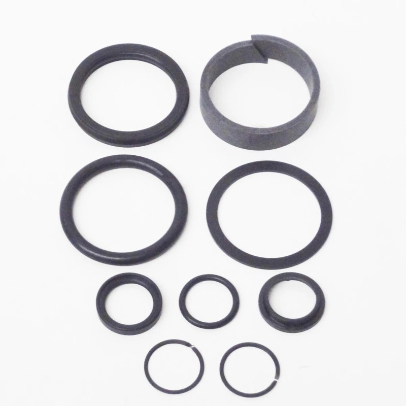 Forward Lift 2 post Cylinder Seal Kit / rebuild kit