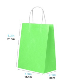 30PCS Light Green Small Gift Bags with Handles – Kraft Party Favor Bags for Holidays and Retail Shopping Bags Pass The Parcel Gifts Light Green Party Bag Lollies Kid Party Favour Bags,15x8x21cm