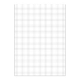 Ursus 608397020 Geschäftsbuch A4, kariert, 70 g/qm, 5 mm, 96 Blatt