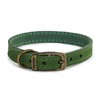 Ancol Timberwolf Comfortable Durable Leather Green Dog Collar Pet Training