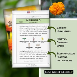 Sow Right Seeds - Crackerjack Marigold Seeds for Planting Outdoors - High Yield African Marigold Flowers - Cempasuchil Marigolds - Ideal for Gardens, Borders, Flowerbeds - Non-GMO Heirloom (1)