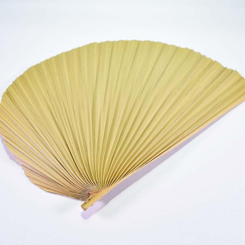 Kubakasaya Fan, Kuba Fan, Traditional Crafts, Folk Art, Okinawa, Ryukyu,