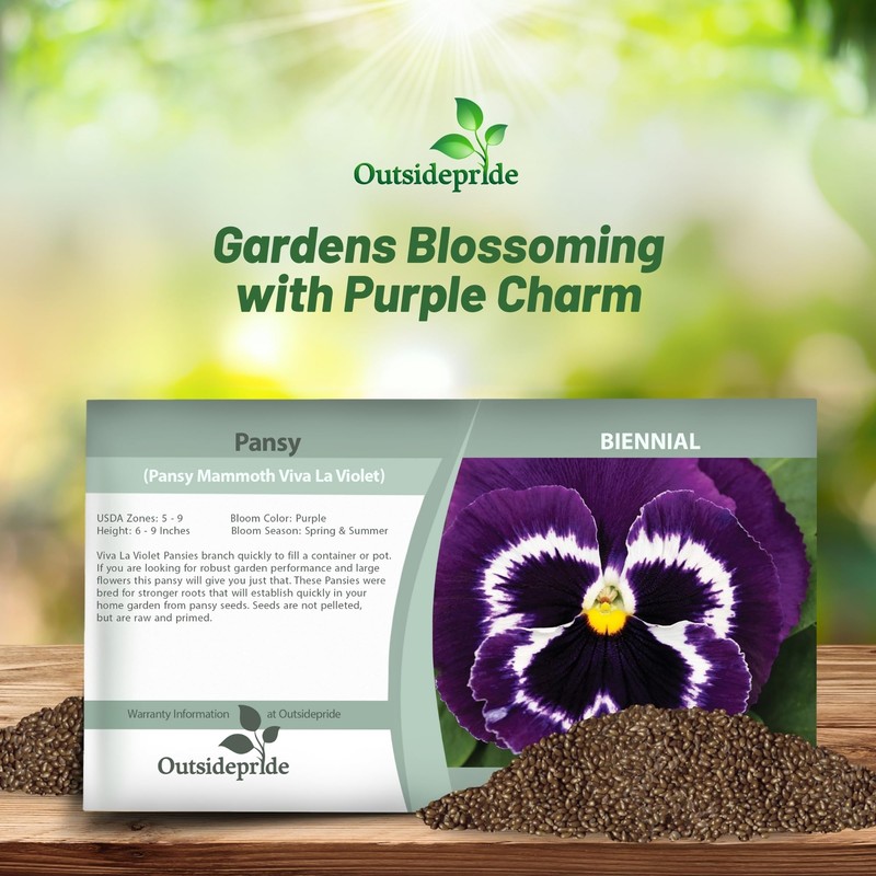 Outsidepride Viva La Violet Viola Pansy Seeds for Planting -