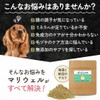 ワンちゃんの腸活＆免疫ケア！マリウェル【海藻・納豆・乳酸菌・ビール酵母配合】正規品｜皮膚・毛並み・高齢犬サポート【犬用サプリ】Mariwell 腸内フローラを整え便秘にも アスコフィラムノドサム