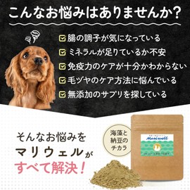 ワンちゃんの腸活＆免疫ケア！マリウェル【海藻・納豆・乳酸菌・ビール酵母配合】正規品｜皮膚・毛並み・高齢犬サポート【犬用サプリ】Mariwell 腸内フローラを整え便秘にも アスコフィラムノドサム