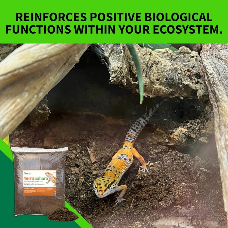 The Bio Dude Terra Sahara Bioactive Reptile Substrate 6 quarts