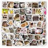 Pack of 100 Cat Meme Stickers, Cat Stickers, Cat Merch,