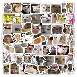Pack of 100 Cat Meme Stickers, Cat Stickers, Cat Merch, Cats Birthday Decoration, Cats Funny