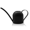 YISSSN Small Watering Can for Indoor Plants, 15oz/450ml Stainless Steel
