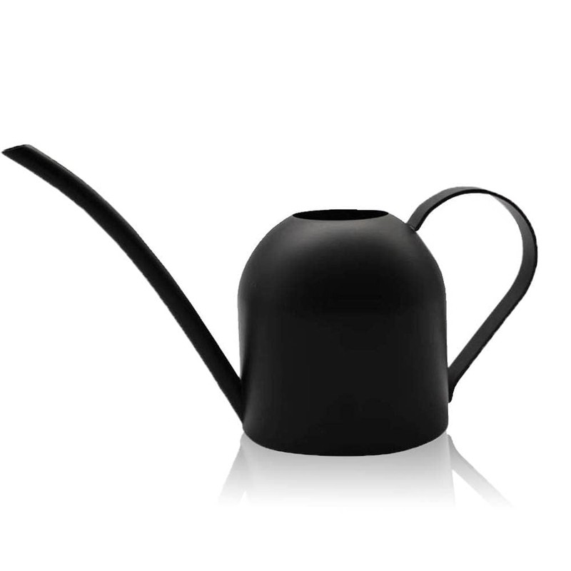 YISSSN Small Watering Can for Indoor Plants, 15oz/450ml Stainless Steel