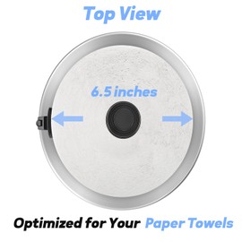 DAWNER Standing Paper Towel Holder with Spray Bottle, Weighted Base with Suction Cups, Paper Towel Stand with Spring-Loaded Arm for Kitchen, Countertop, Stainless Steel Brushed Nickel Finish