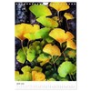 Ginkgo Biloba Schönheit (Wandkalender 2026 DIN A4 hoch), CALVENDO Monatskalender: