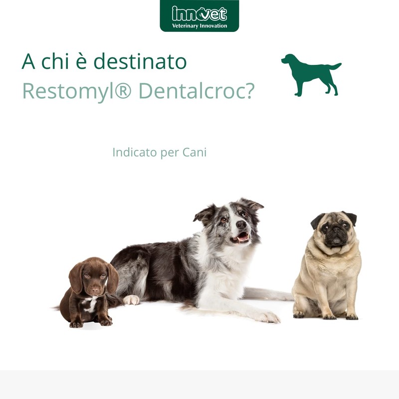 Restomyl Dentalcroc, Supporto nutrizionale, Migliora l'alito. Controlla e previene la