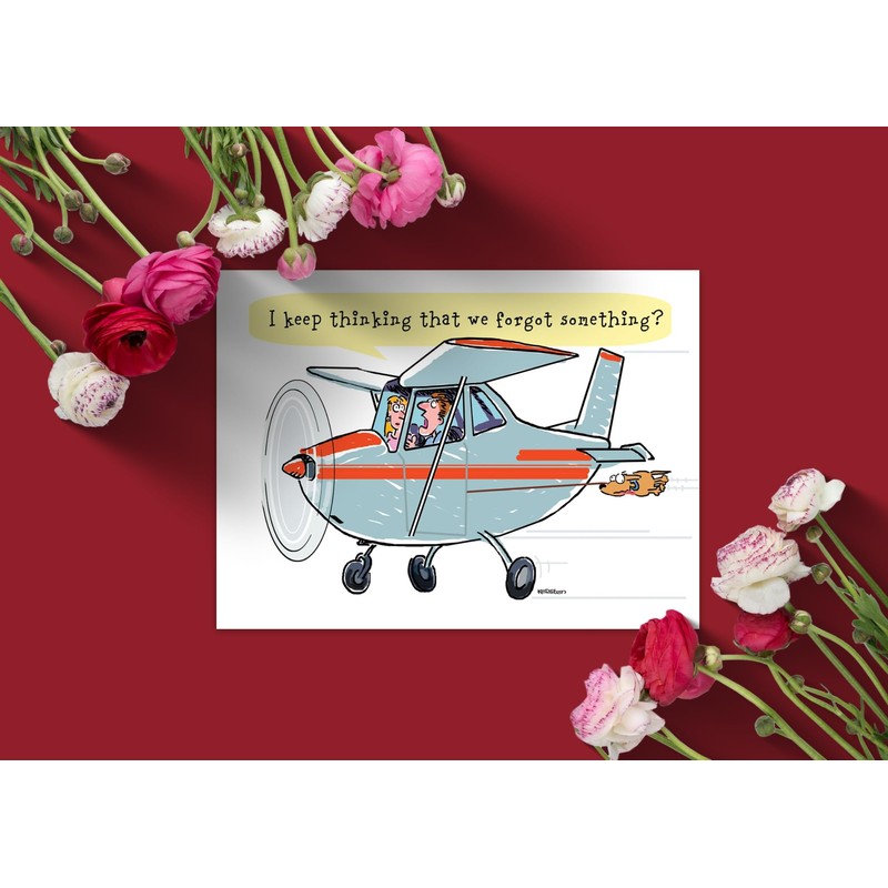 Stonehouse Collection - Airplane Birthday Cards - Pilot Birthday Card