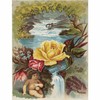 Florida Water Rice Paper, 8 x 10.5 Inch - for