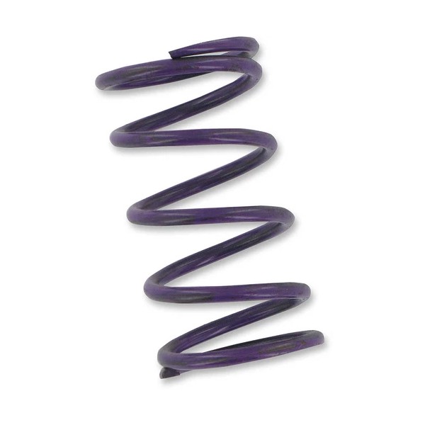 Comet Clutch Spring - Purple for 1976 Rupp Nitro 440
