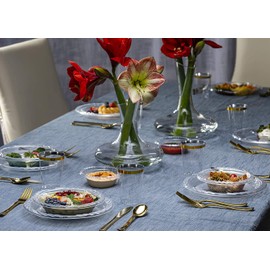 Plasticpro 9'' inch Premium Crystal Clear Disposable Plastic Dinnerware Party Plate Pack of 40