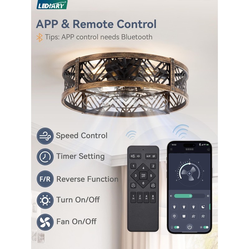 LEDIARY 20" Caged Ceiling Fan with Light, Small Flush Mount,