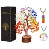 Black Tourmaline Tree - Haeling Crystal - Gemstone Money Tree