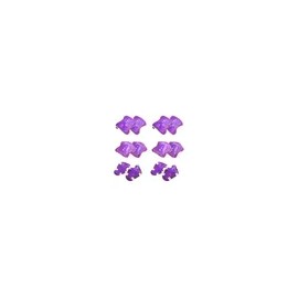 Kit Protección Para Niños Niñas 2en1 6 Pzs C/u Accesorios Morado