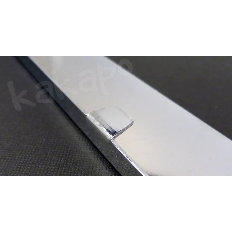 Unbranded May Have Been The Losing Side...Chrome License Plate Frame