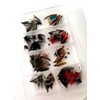 BestCity 50 plus Fishing Flies WET Selection FLY Selection TROUT