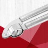Fackelmann OPAL Garlic Press, Garlic Crusher, Garlic Mincer, Stainless Steel,