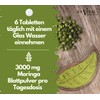 EXVital Organic Moringa Tablets - 3000 mg Moringa Oleifera per