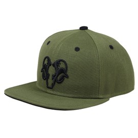 Bexxwell Snapback Cap Green with 3D Embroidery in Black (Perfect Fit, Cap, Green, Black, 3D Embroidery, Unisex), Green