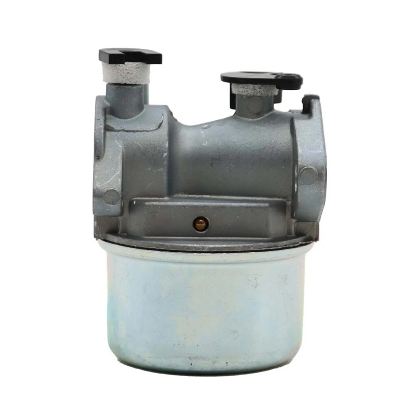 For Briggs and Stratton Carburetor For Briggs & Stratton 794304
