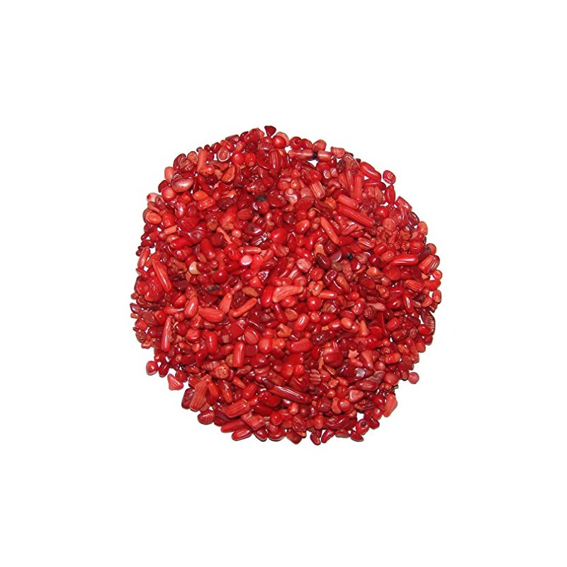 Bamboo Coral 250 g Mini Getrommelte Coral – Size 2