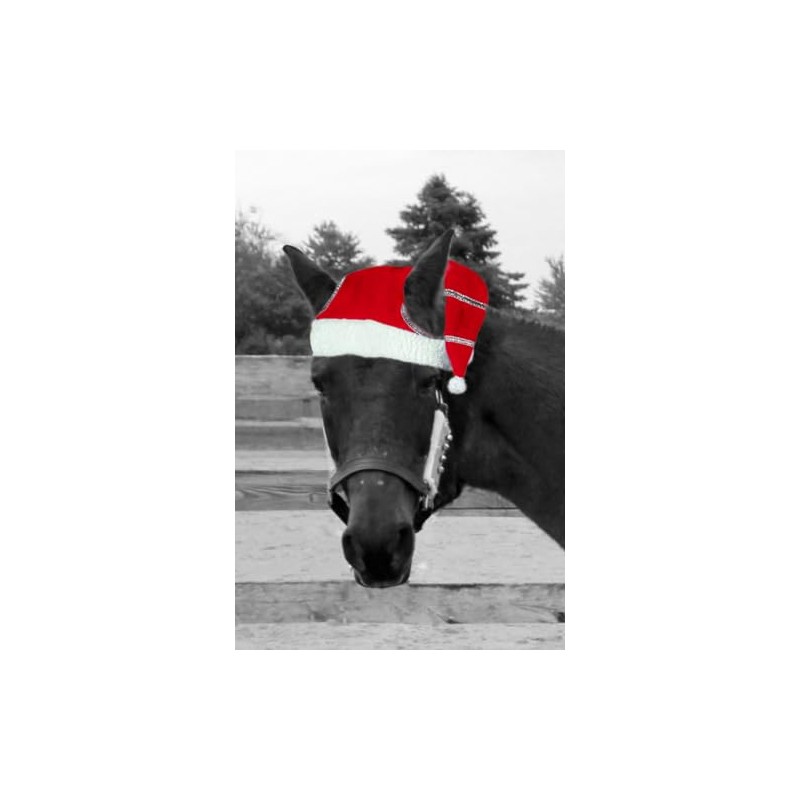 Santa Christmas Horse Hat