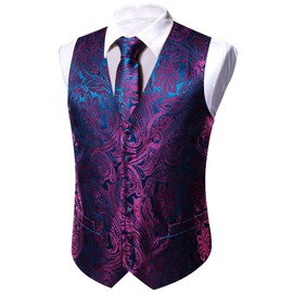Barry.Wang Men Vest Set Paisley Floral Silk 5PCS Waistcoat Tie Handkerchief Cufflink Clip Casual Business Dress