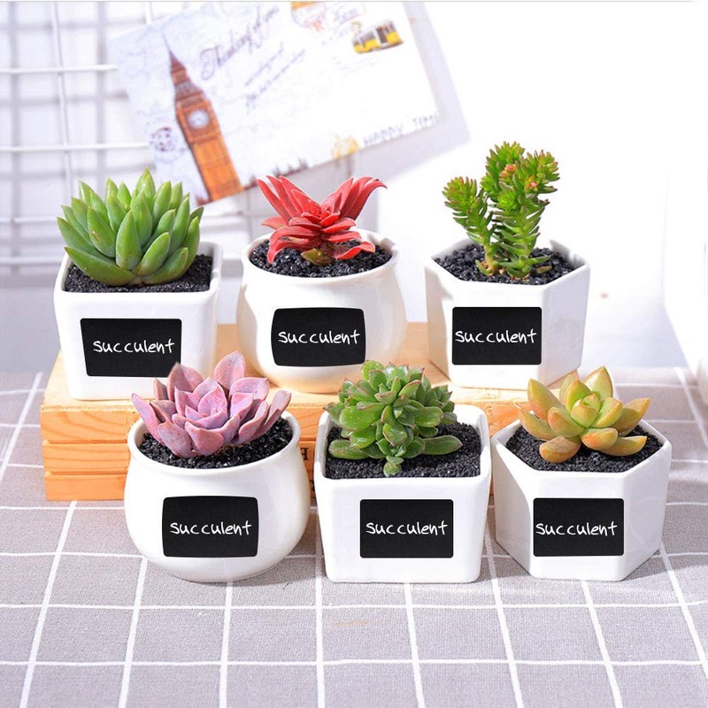 Chalkboard Labels, Joyoldelf 150Pcs Waterproof Reusable Blackboard Stickers Kit for