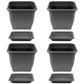 HAC24 4 x Plant Pot 23 x 23 cm Plastic Including Saucer Square Anthracite Plant Pot Plant Pot Plant Pot Plant Container
