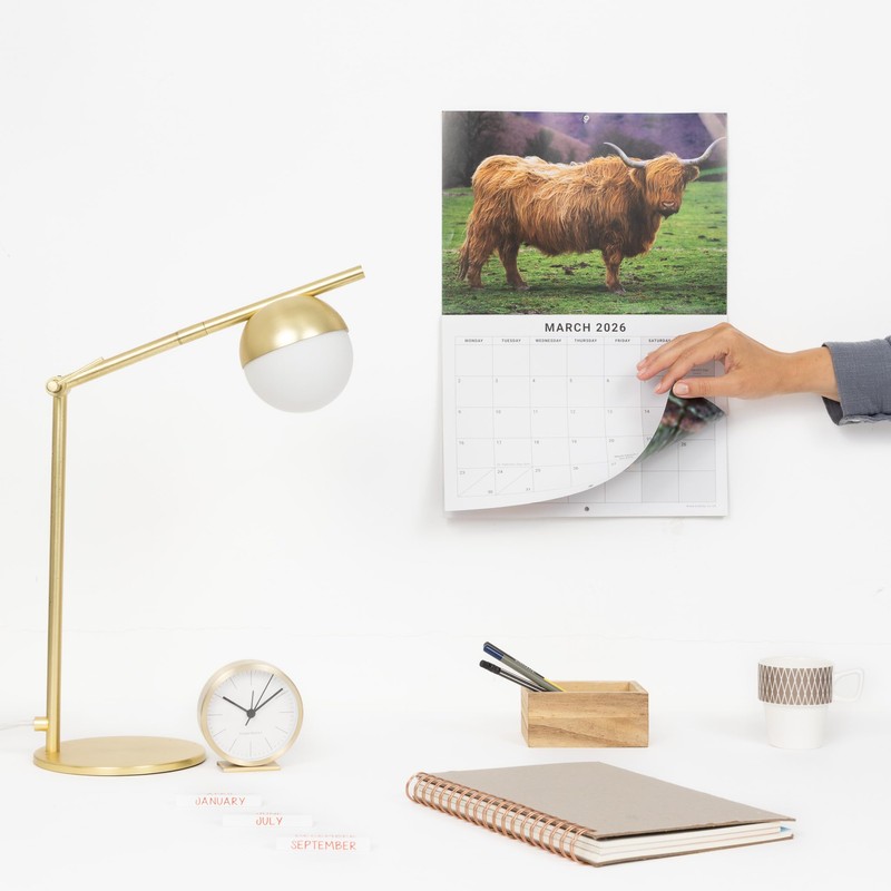evelay 2026 A4 Highland Cow Calendar Month to View A3