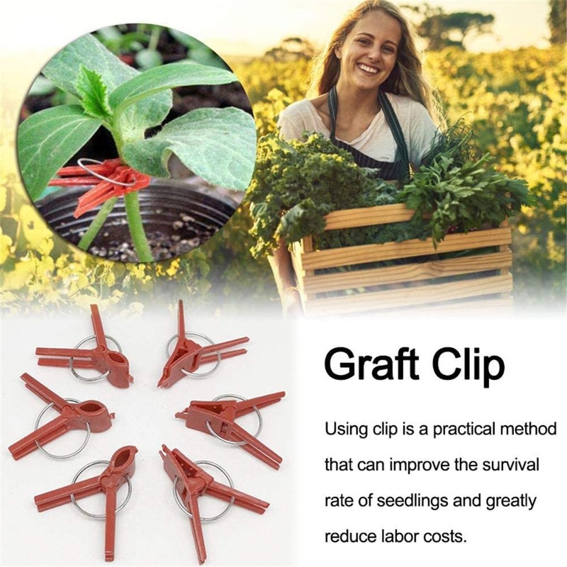 200 Pcs Gardening Work Easy Plant Round Mouth Grafting Clips